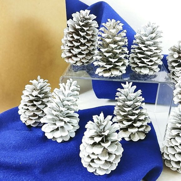 Pinecones Home Decor Crafting Pkg of 12 Handcrafted by Collins Creek Collections - Picture 2 of 8
